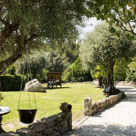Quinta Do Meira Braga Exterior photo